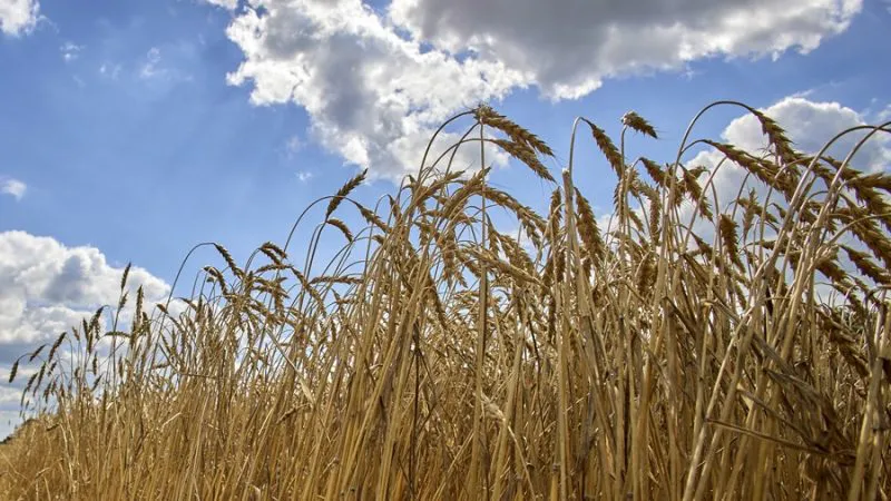 cambios-para-extender-las-exenciones-de-aranceles-a-Ucrania-800x450